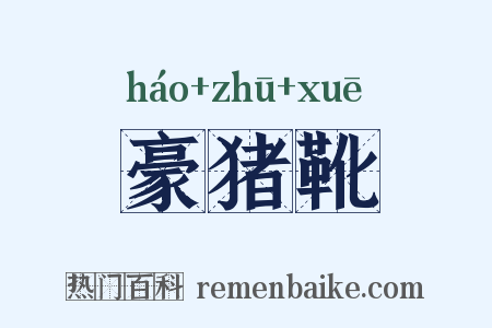 豪猪靴是什么意思的图片